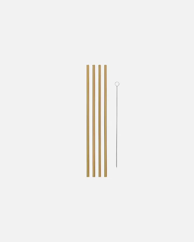 10 Metal Straws