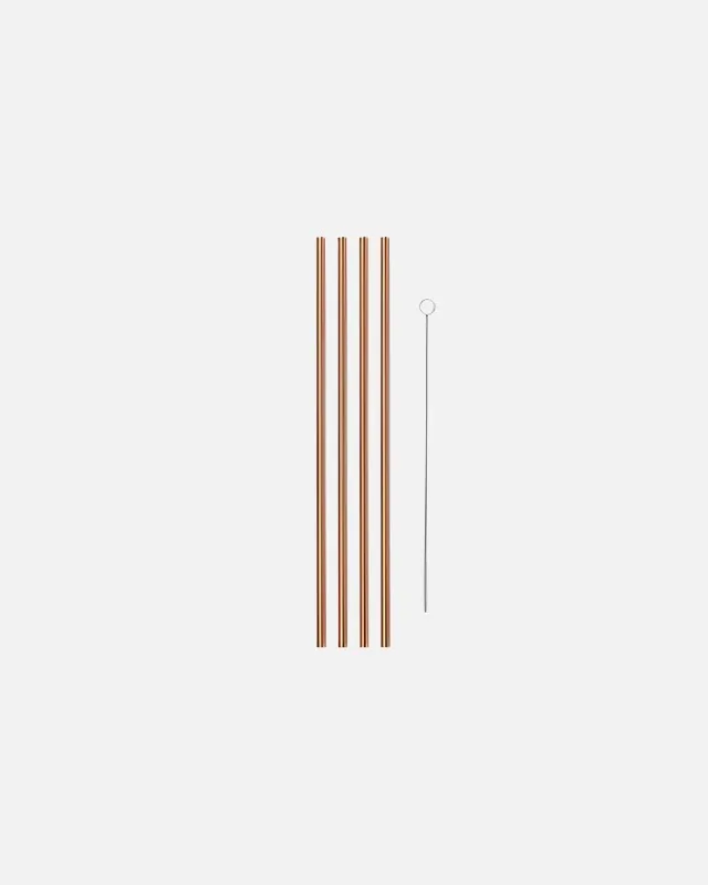 10 Metal Straws