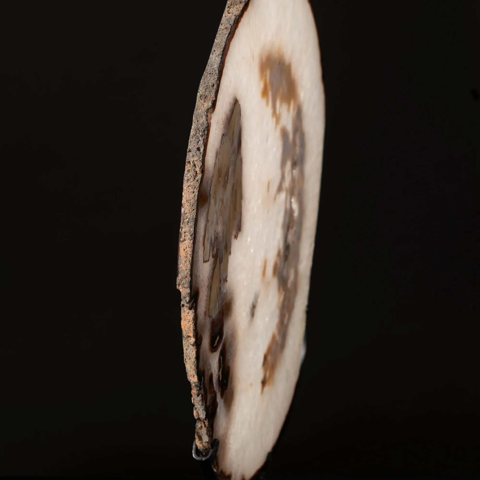 Agate Slice on Stand