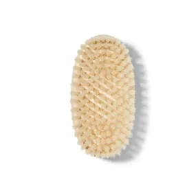 BODY BRUSH