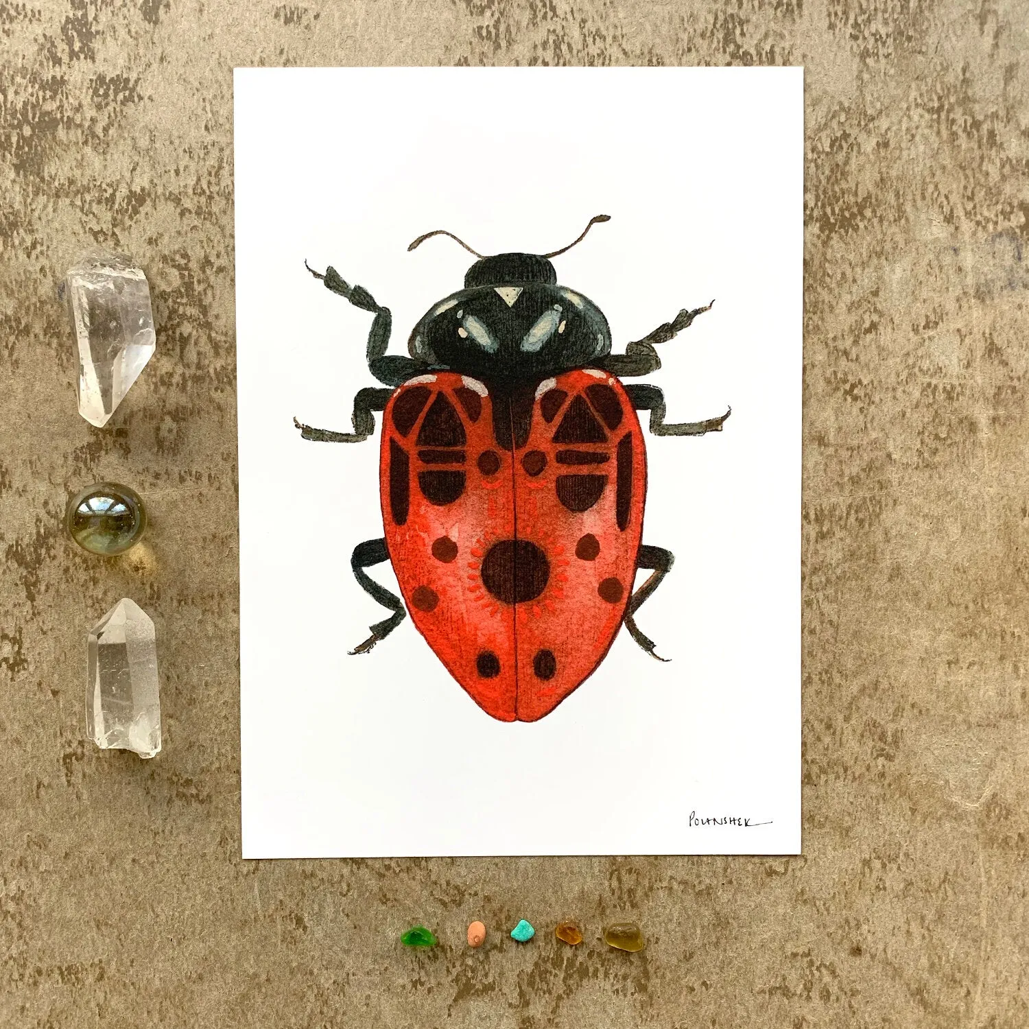 Bug Collection: Ladybug 5x7 Print