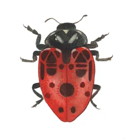 Bug Collection: Ladybug 5x7 Print