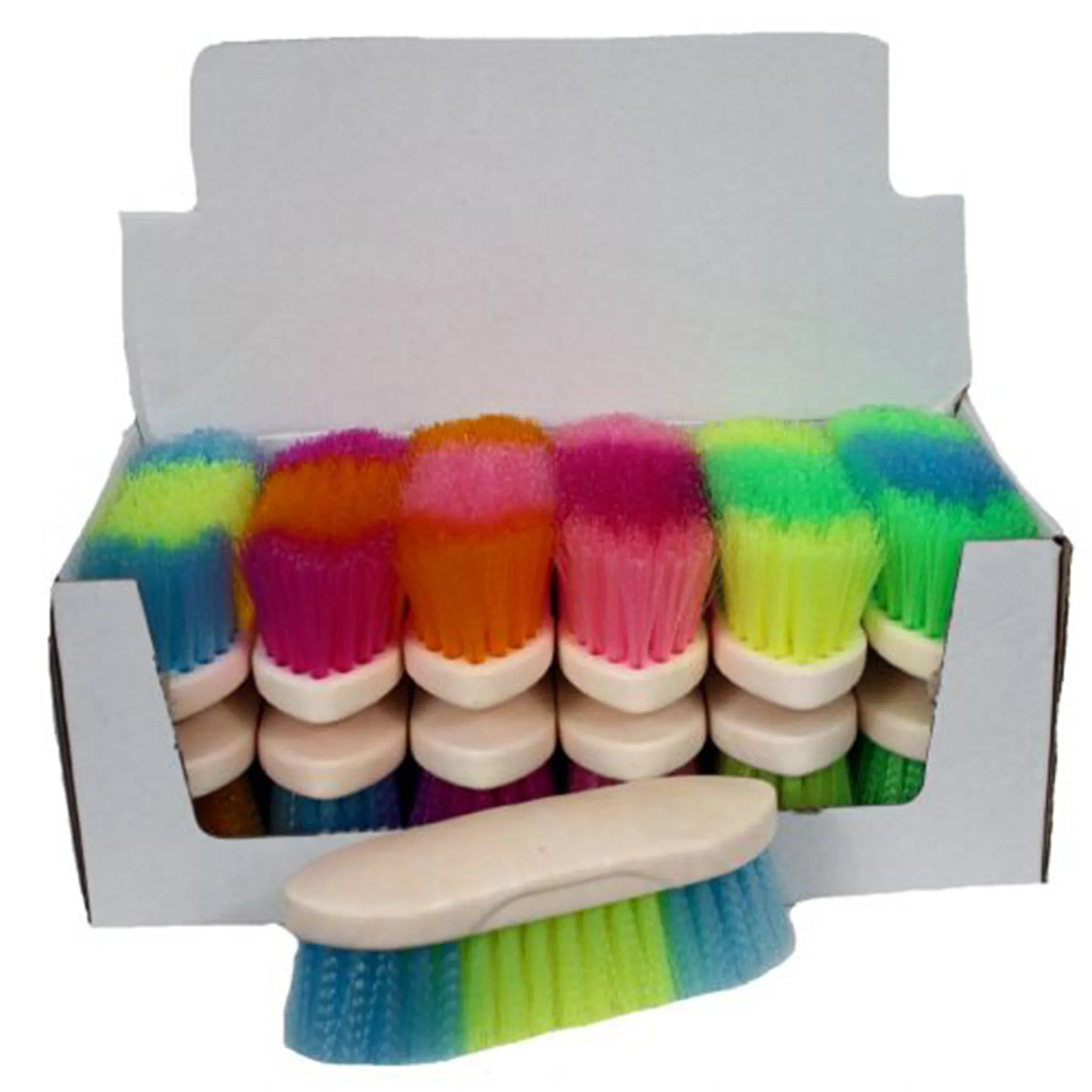 Rainbow Stiff Bristle Brush